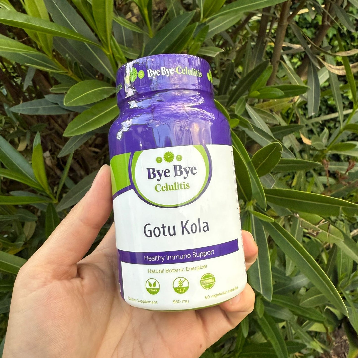 Gotu kola -Mejora la apariencia de la piel